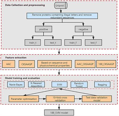 Identification of Proteins of Tobacco Mosaic Virus by Using a Method of Feature Extraction